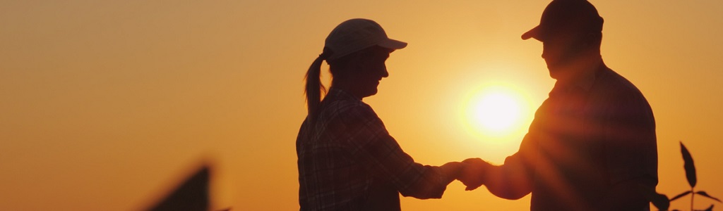 Handshake in sunrise