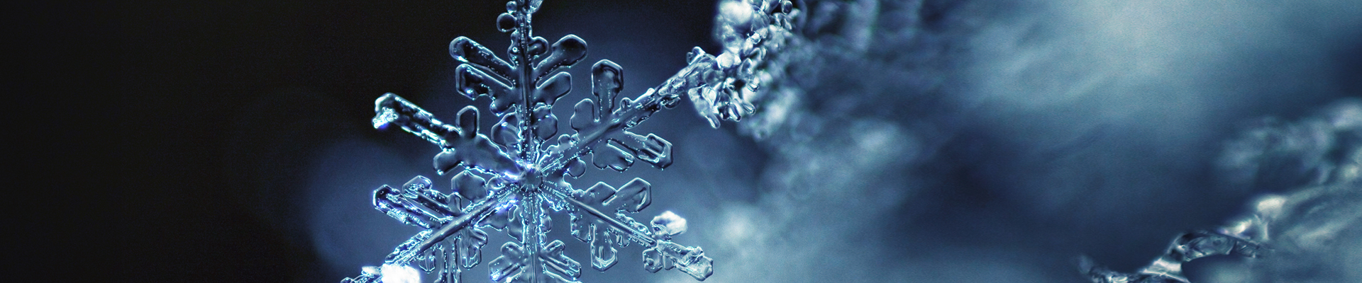 A snowflake made out of ice