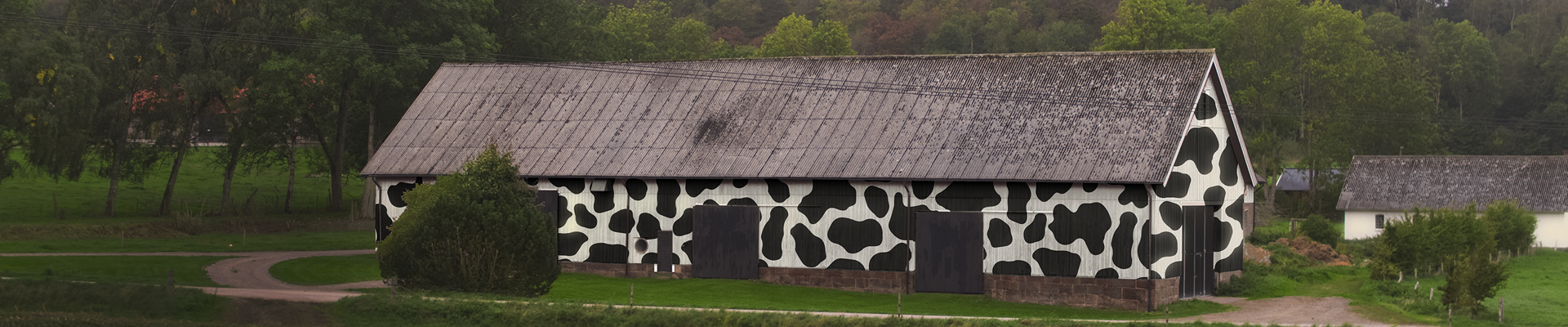 A barn painted with a black and white cow pattern