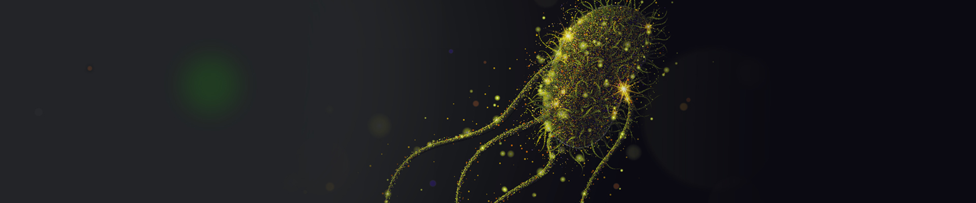 Feed hygiene  Green bacteria