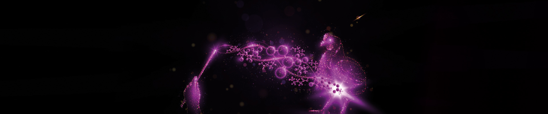 Gastrivix Avi for the use in poultry A magic wand and a chicken