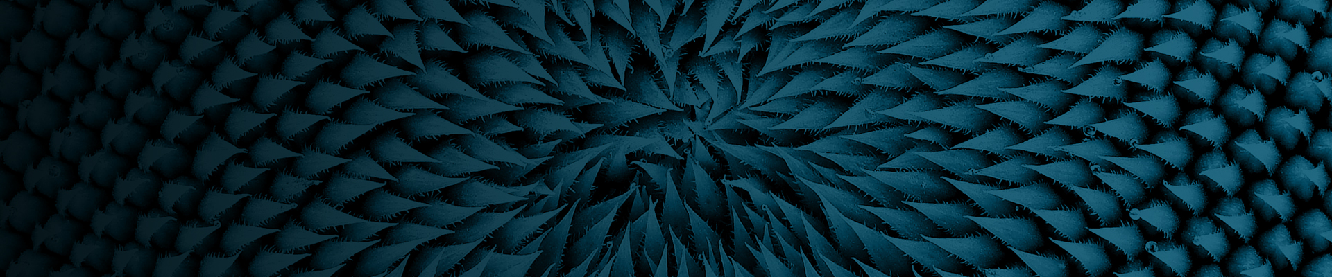 Polyols Blue flower