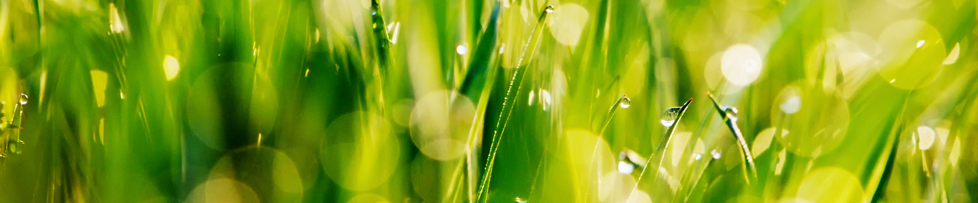 Silage preservation Wet grass straws