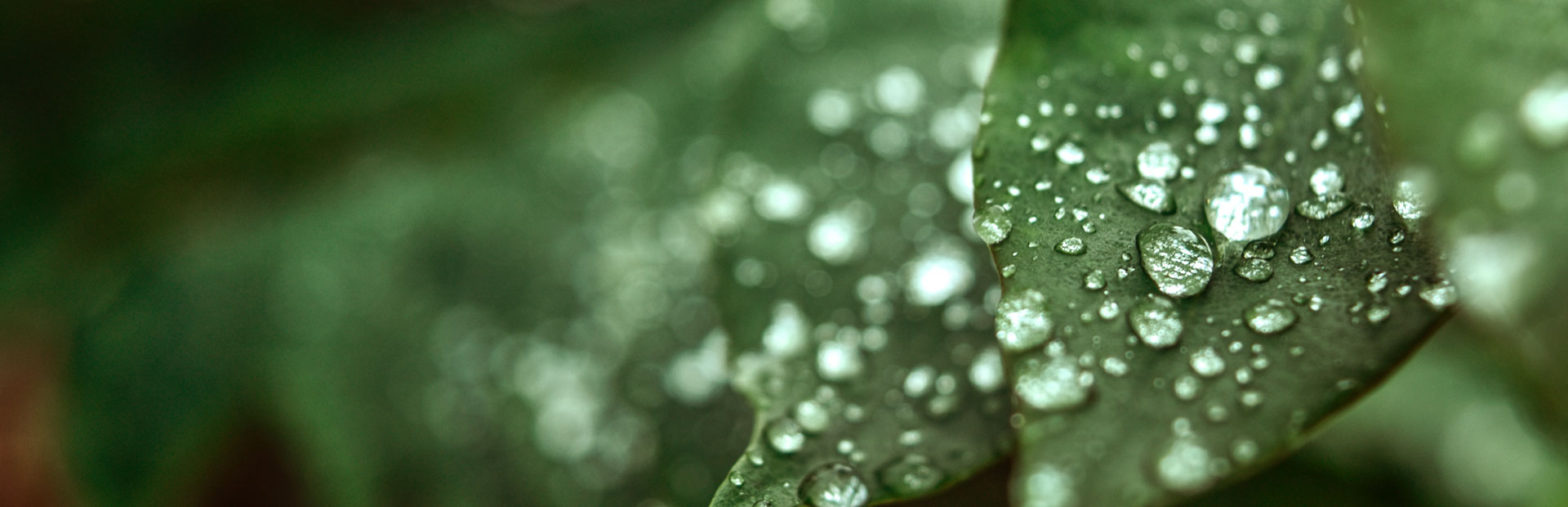 What we do and how we do it at Perstorp