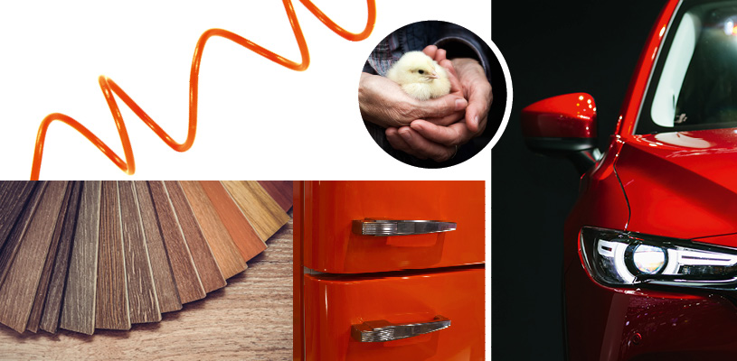 Collage of images depicting flooring, plastic cables, chickens, refrigerators, and cars