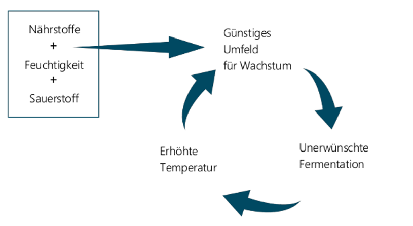 Abbildung 1. Der Kreislauf der Temperaturerhöhung in einer TMR