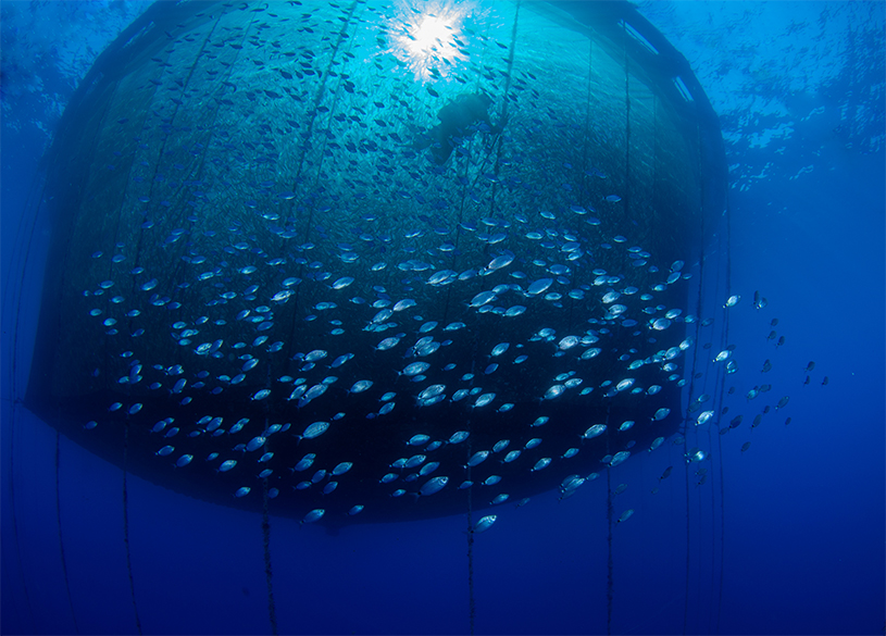 Aquaculture in open water