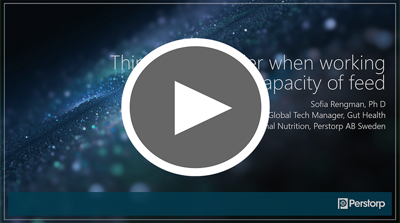 Video buffer capacity of feed Presentation of buffer capacity of feed