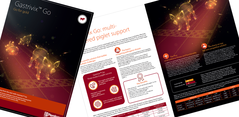 Gastrivix Go Brochure