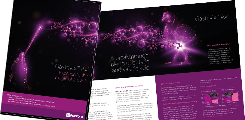 Screenshot of Gastrivix Avi Brochure