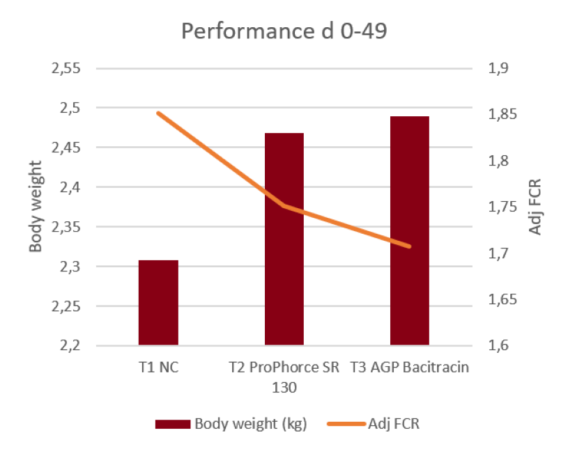 Graph: ProPhorce SR vs AGP