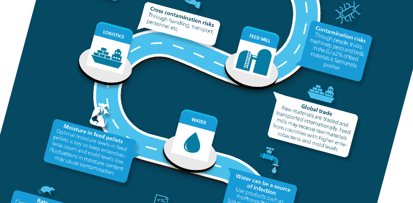 Infographic: do not roll the dice on enterobacteria