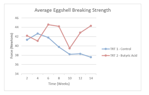 Figure 3: Egg shell breaking strength (diet p<0.0876)