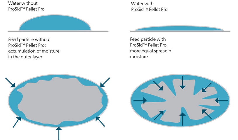 ProSid™ Pellet Pro interacting with water to improve absorption and distribution