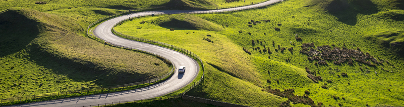 Car and green landscape