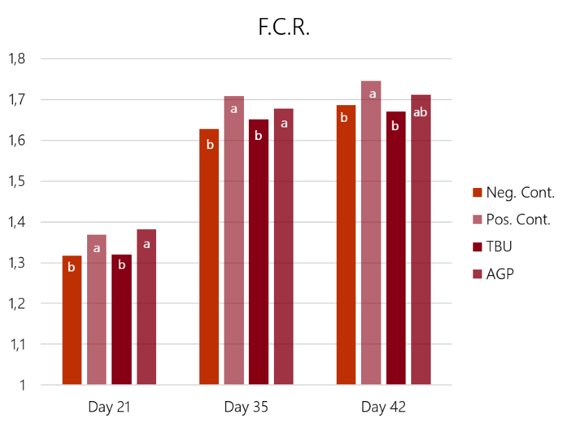 Table 3: Feed conversion rate results of the 4 experimental groups