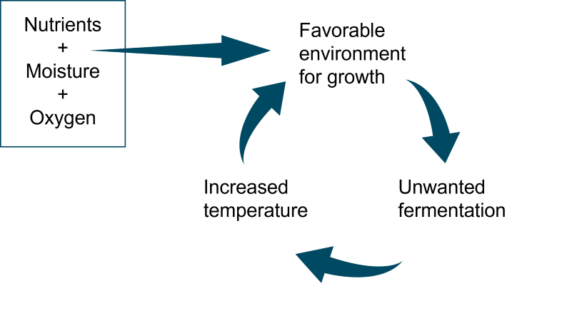 Figure 1. The cycle of increasing temperature in a TMR