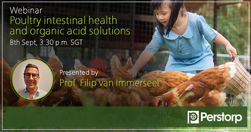 Webinar Poultry Intestinal Health and organic acid solutions