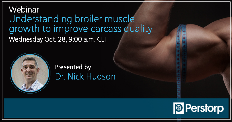 Webinar Understanding broiler muscle growth to improve carcass quality