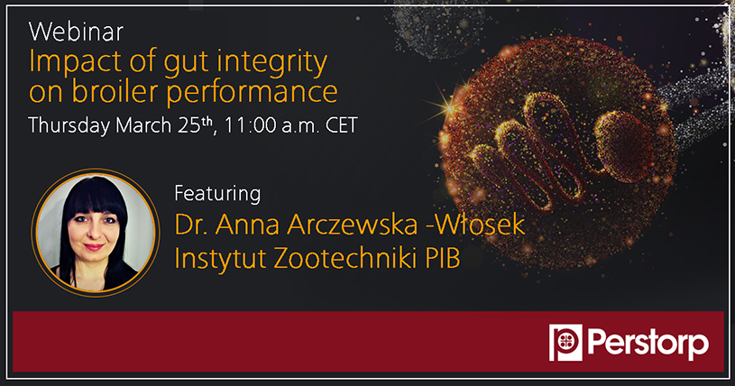Webinar: the impact of gut integrity on broiler performance