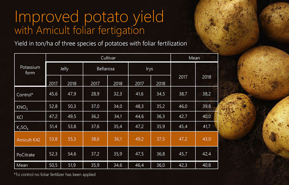 Chart over how much Amicult can improve potato yield