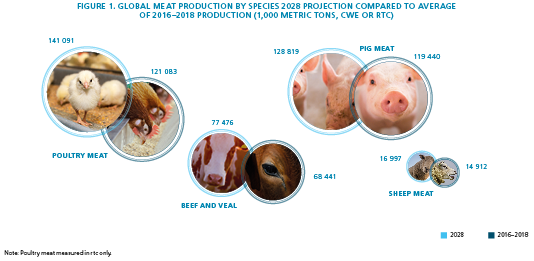 Animal Nutrition Market News