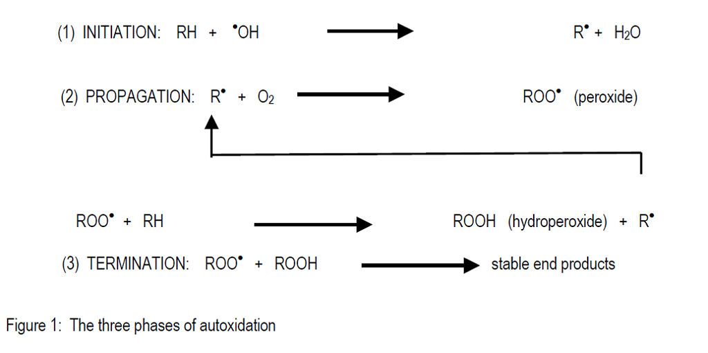 The autoxidation process