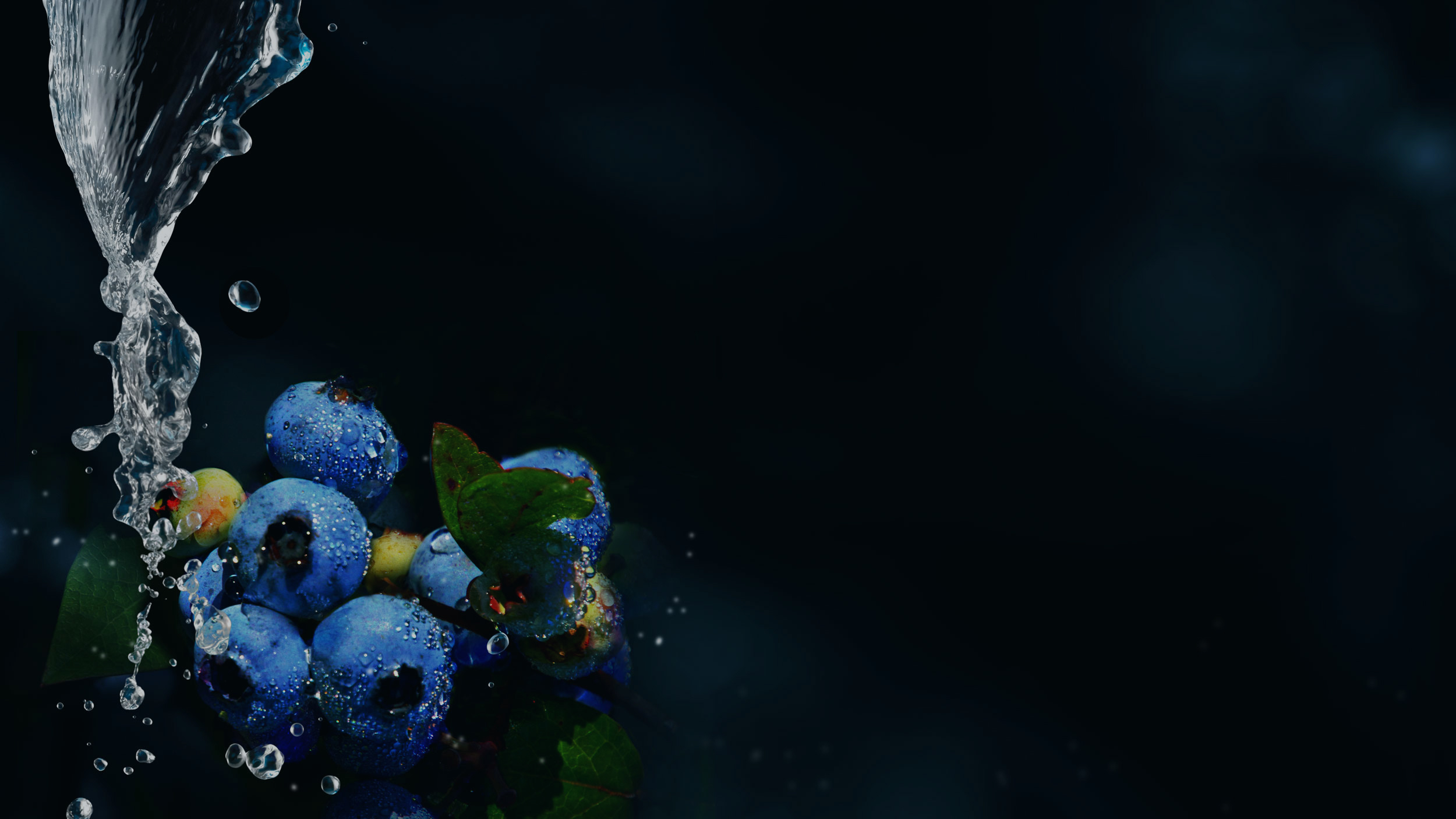 Blueberries with black background