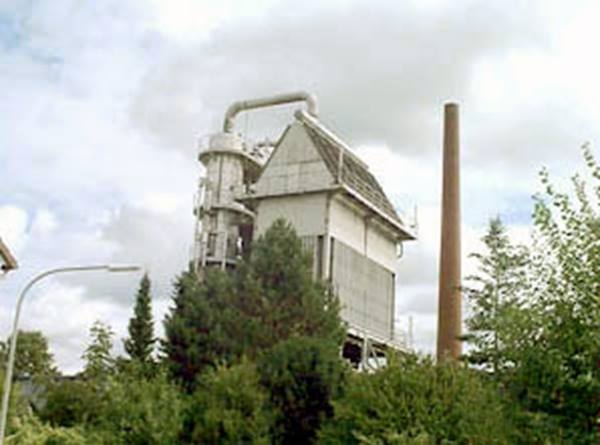 Bruchhausen plant