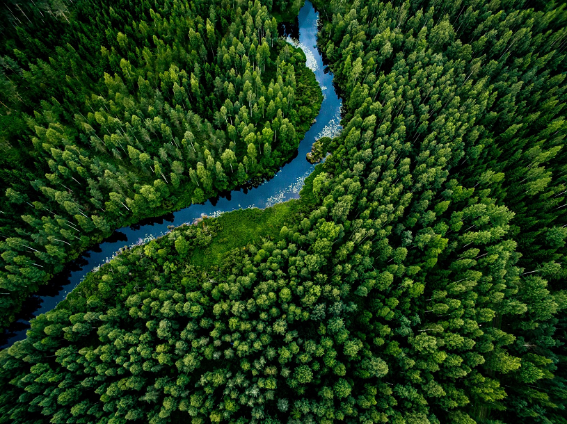 River floating through green woods from above
