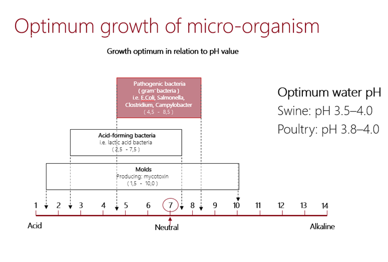 optimum growth micro organism