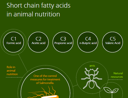 Fatty acids