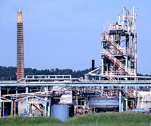 Nol plant