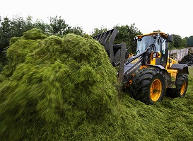 Silage ProMyr2016