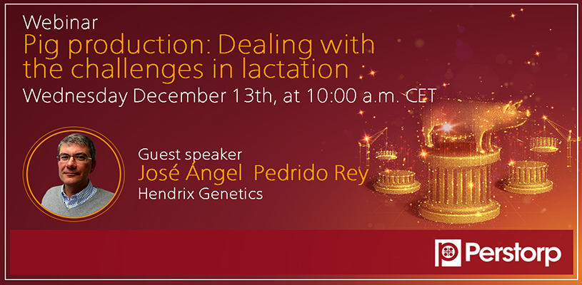 Webinar invitation - Pig production - Dealing with challenges in lactation