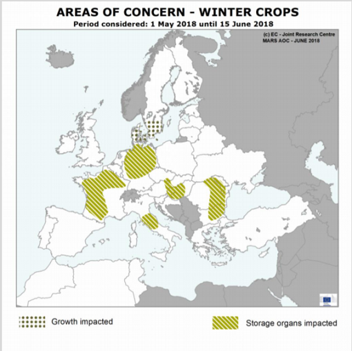 Winter crops 2018