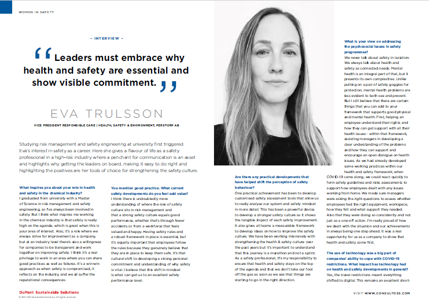 Eva Trulsson interview DSS Screenshot of an Eva Trulsson interview in DSS