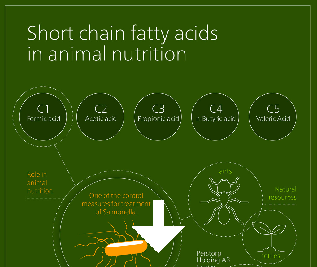 Short Chain Fatty Acids Infographic full download