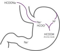 Gastric faith of sodium formate