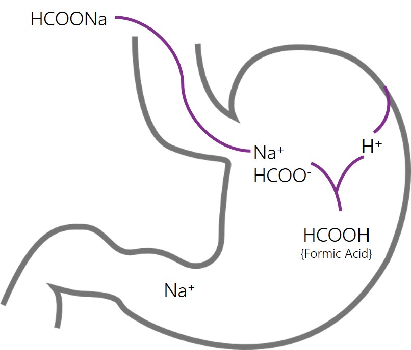 Gastric faith of sodium formate