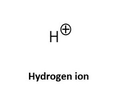 Hydrogen ion