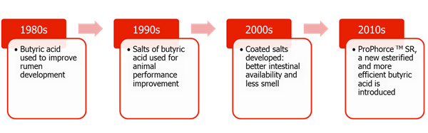 Development of butyric acid as feed additive
