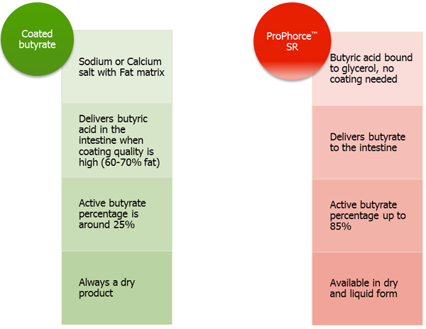 Comparison between coated salts of butyric acid and ProPhorce™ SR