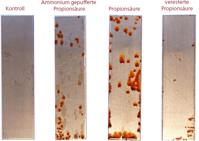 Corrosion test German Deutsch