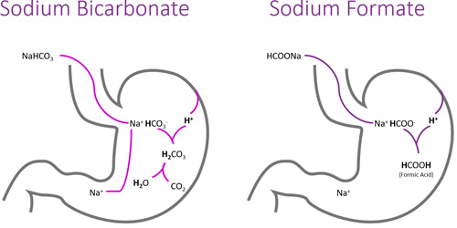 sodium sources: sodium bicarbonate vs sodium formate