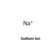 sodium ion
