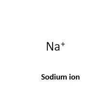 sodium ion