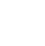 handbag icon