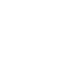 chicken icon