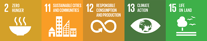 SDG goals icons